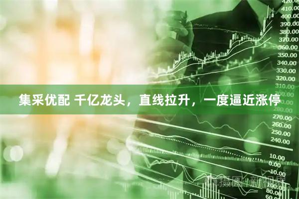 集采优配 千亿龙头，直线拉升，一度逼近涨停