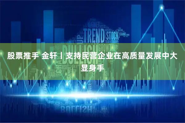 股票推手 金轩丨支持民营企业在高质量发展中大显身手