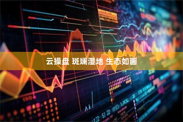 云操盘 斑斓湿地 生态如画